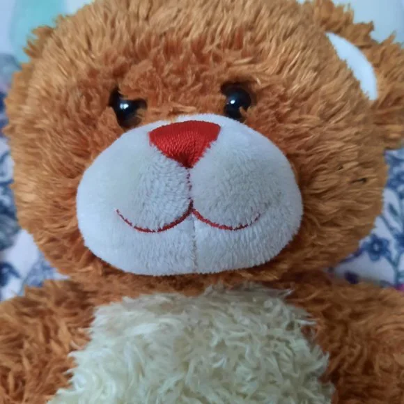 High School Musical Build-a-Bear - Picture 2 of 3